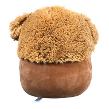 Load image into Gallery viewer, Squishmallow Benny The Bigfoot 12 Inch Plush